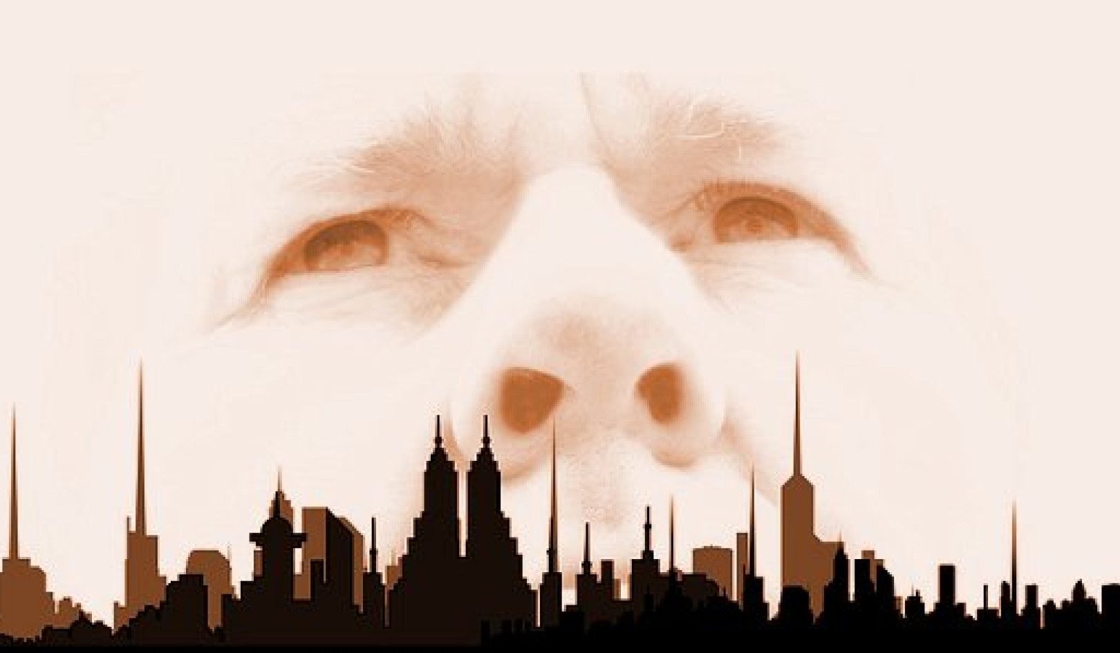 The Role of Acceptance in Personal Transformation